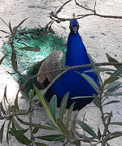 Przytulny 100m Od Plazy * Torrevieja