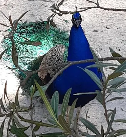 Przytulny 100m Od Plazy * Торевьиа